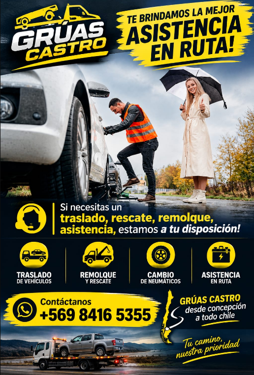 busco grua en concepcion - Grúas en Concepción